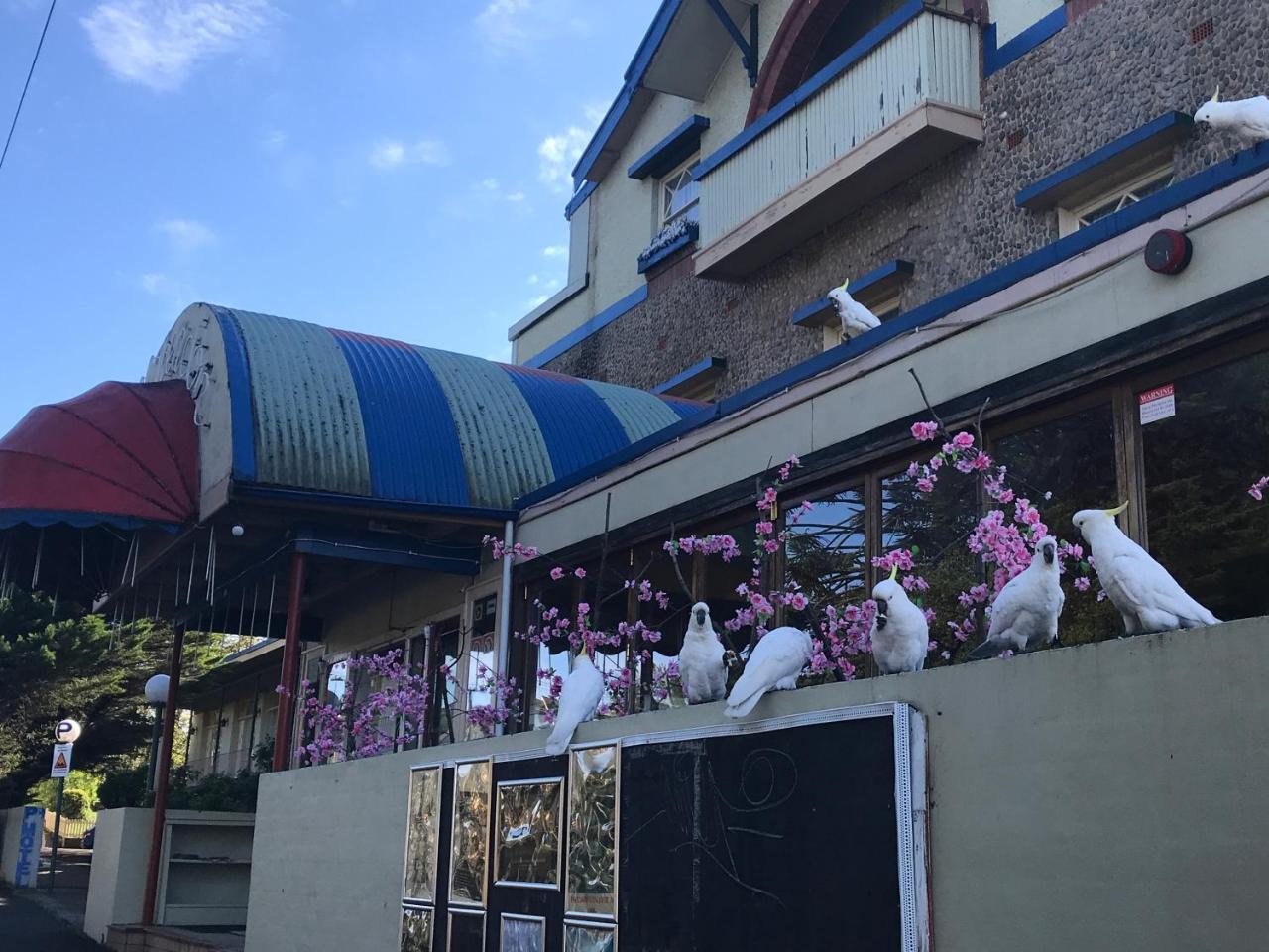 The Clarendon Motel Katoomba Luaran gambar