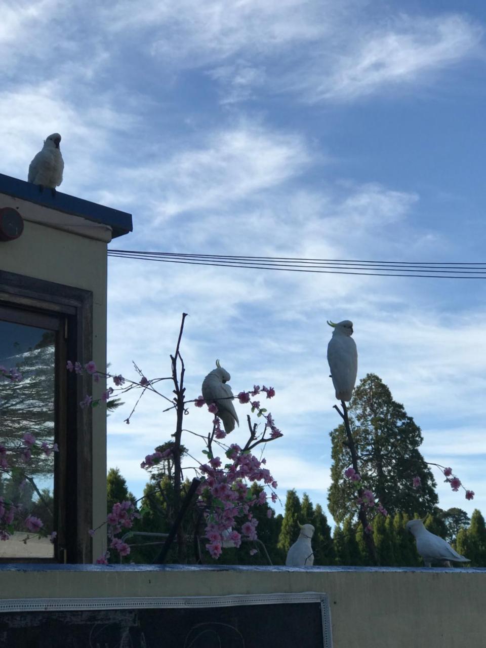 The Clarendon Motel Katoomba Luaran gambar